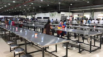 11選5預測軟件破解版