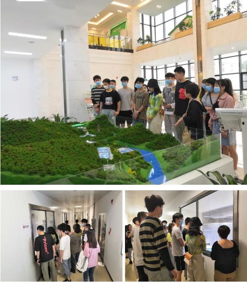 為了向她告白,南平青年拍了一部片子