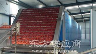 龍躍網(wǎng)鏈廠 龍躍網(wǎng)帶輸送機(jī)生產(chǎn) 南平網(wǎng)帶輸送機(jī)圖片