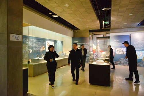 副市長林湫一行蒞臨南平市博物館調(diào)研指導(dǎo)丨寬創(chuàng)國際博物館設(shè)計(jì)