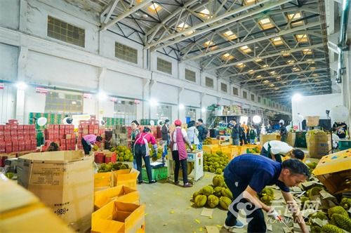 走進助農基地 研討直播電商 專家達人聚云南共話直播助農