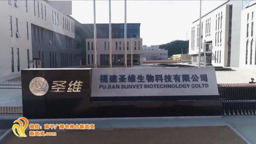 念好 五字經 南平引來 金鳳凰