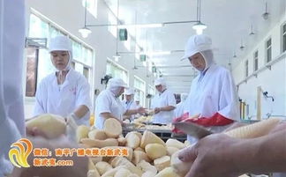 南平市出臺新政策 最高獎勵500萬元 獎補對象是