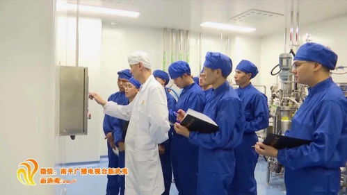 念好 五字經(jīng) ,南平引來 金鳳凰