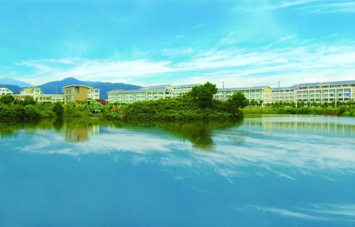 歡迎回家 武夷學(xué)院建校60周年暨南平人才發(fā)展展望